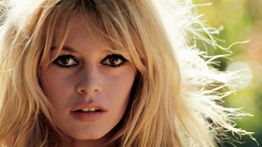 Brigitte Bardot Vermogen En Carrière