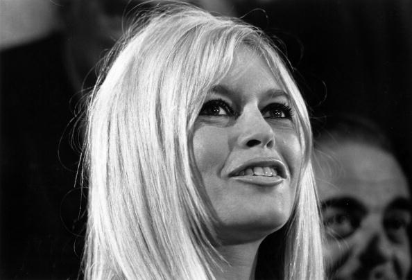 Brigitte Bardot Vermogen En Carrière